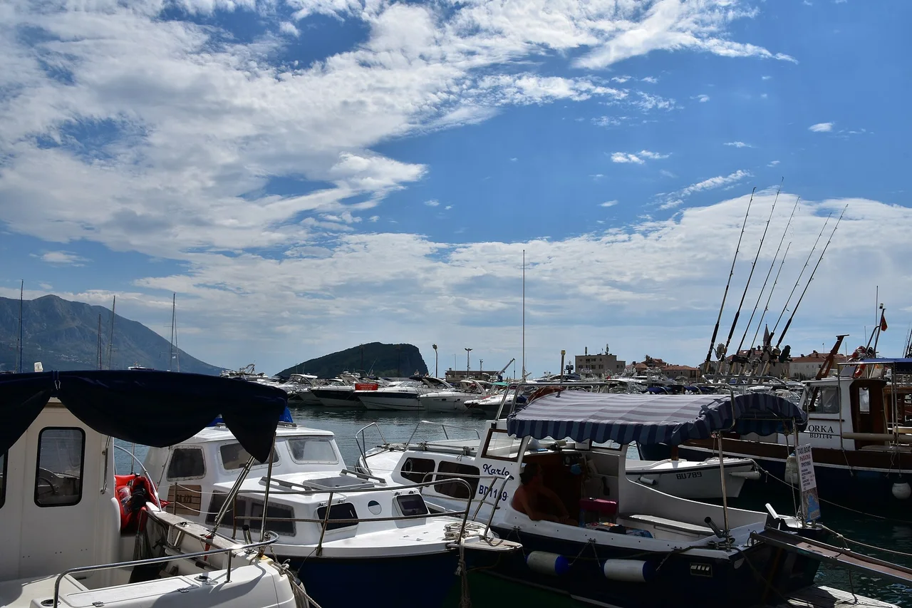 Fishing boats moored in Budva harbour with the old town and mountains behind