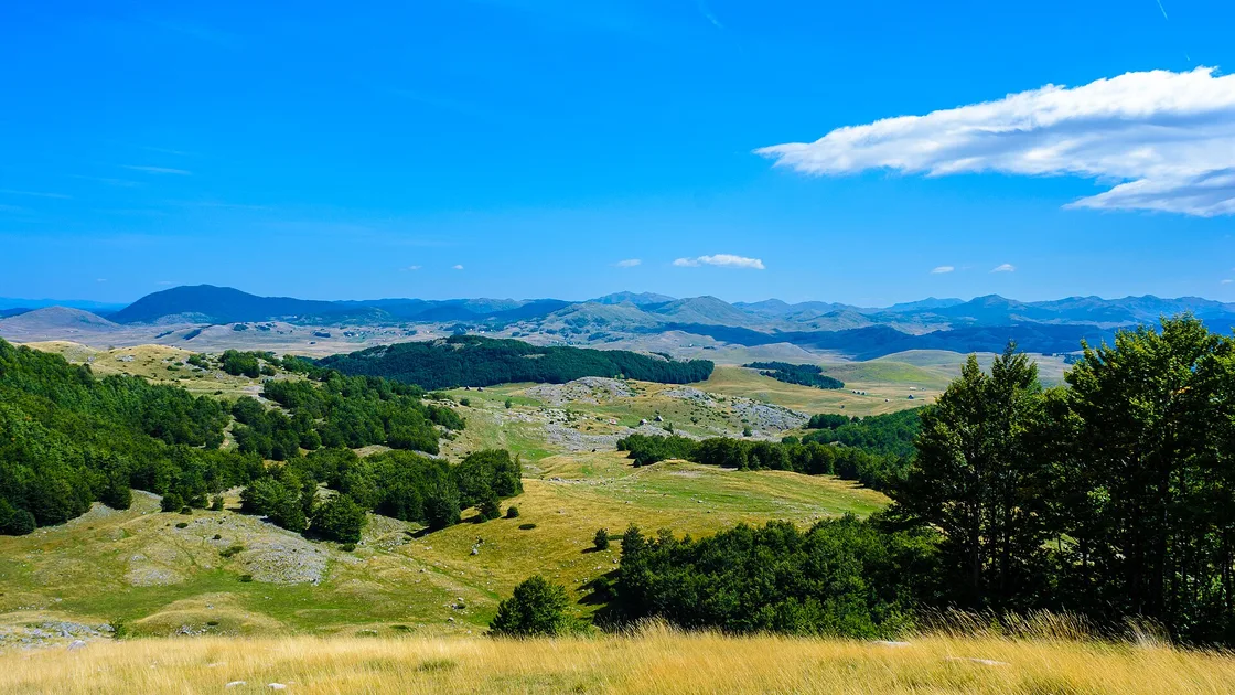 The rolling Durmitor plateau with pine forest and distant peaks in mid-September, Montenegro