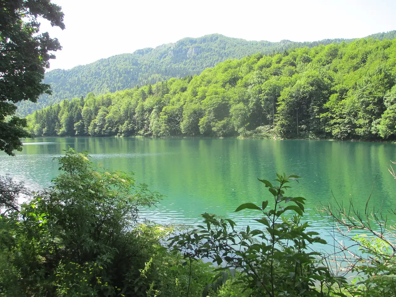 Lake Biogradsko (Biogradsko jezero), a glacial lake ringed by forest in Biogradska Gora National Park, Montenegro