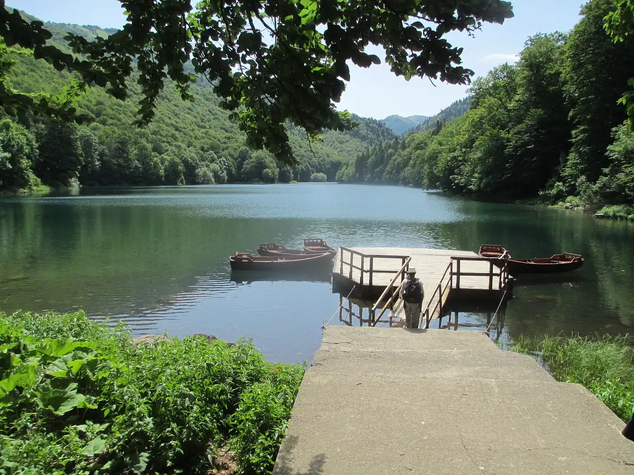 Old forest reflected in the calm water of Lake Biogradsko, Biogradska Gora National Park