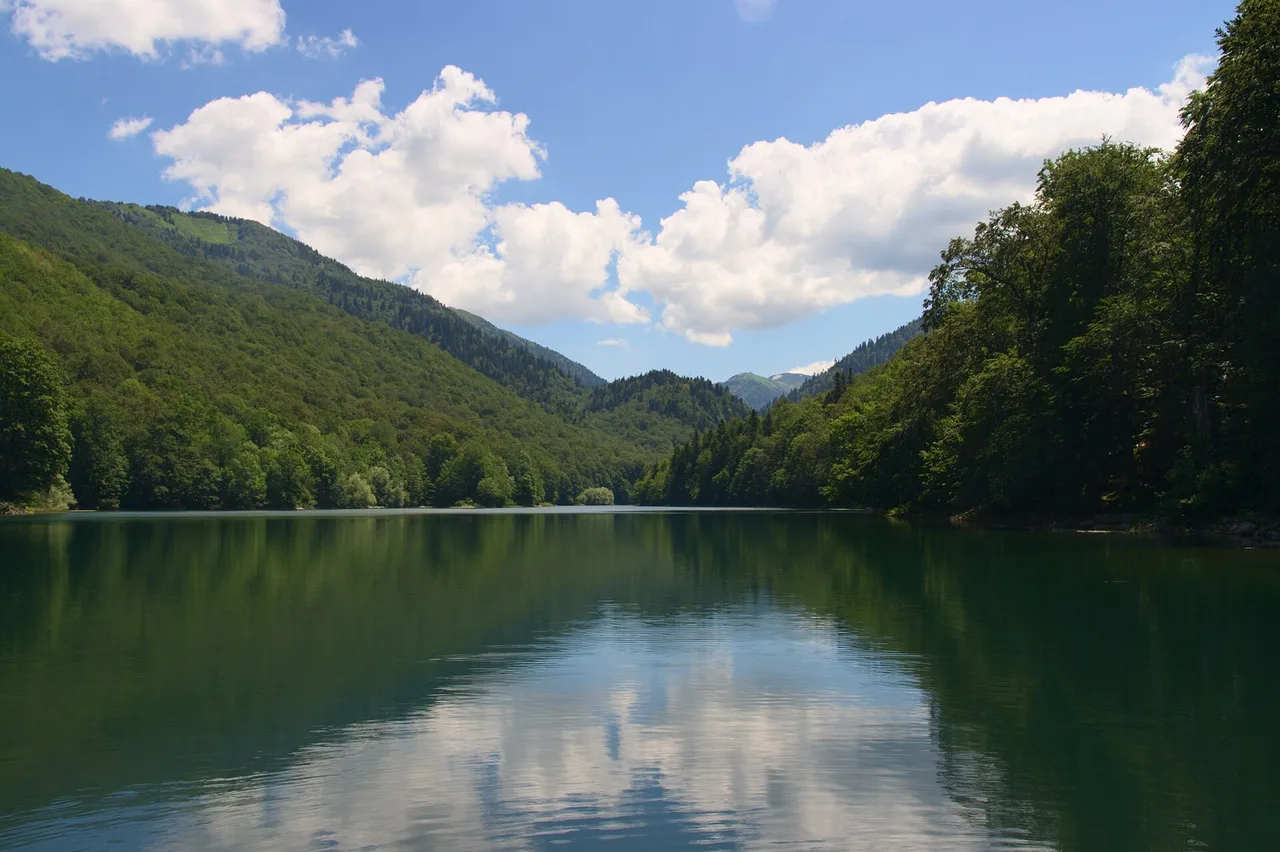 Lake Biogradsko in summer with forested slopes reflected in the still water, Montenegro
