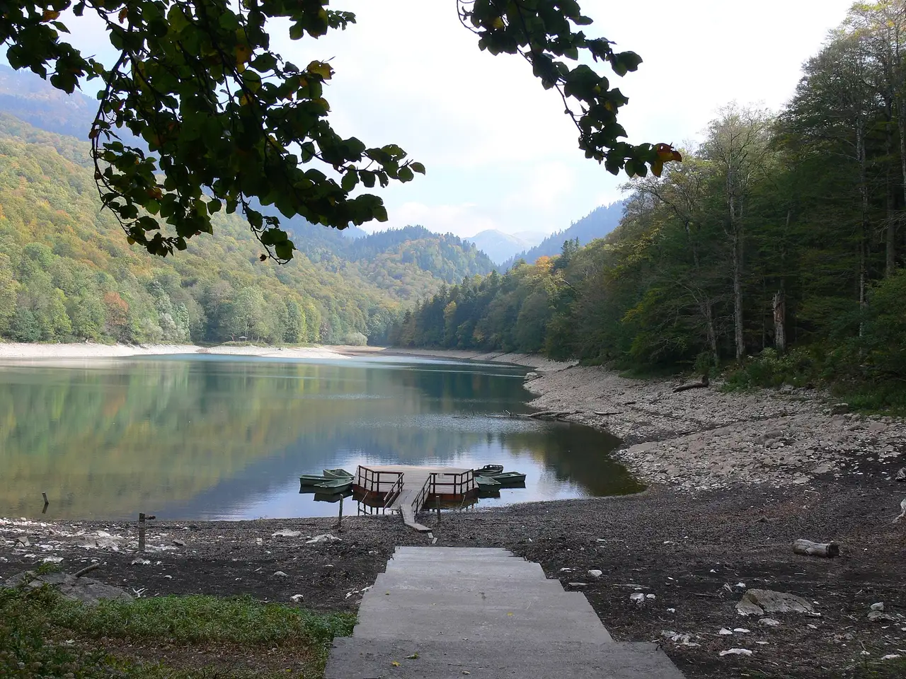 The grassy shore of Lake Biogradsko at low summer water level, ringed by dense forest, Montenegro