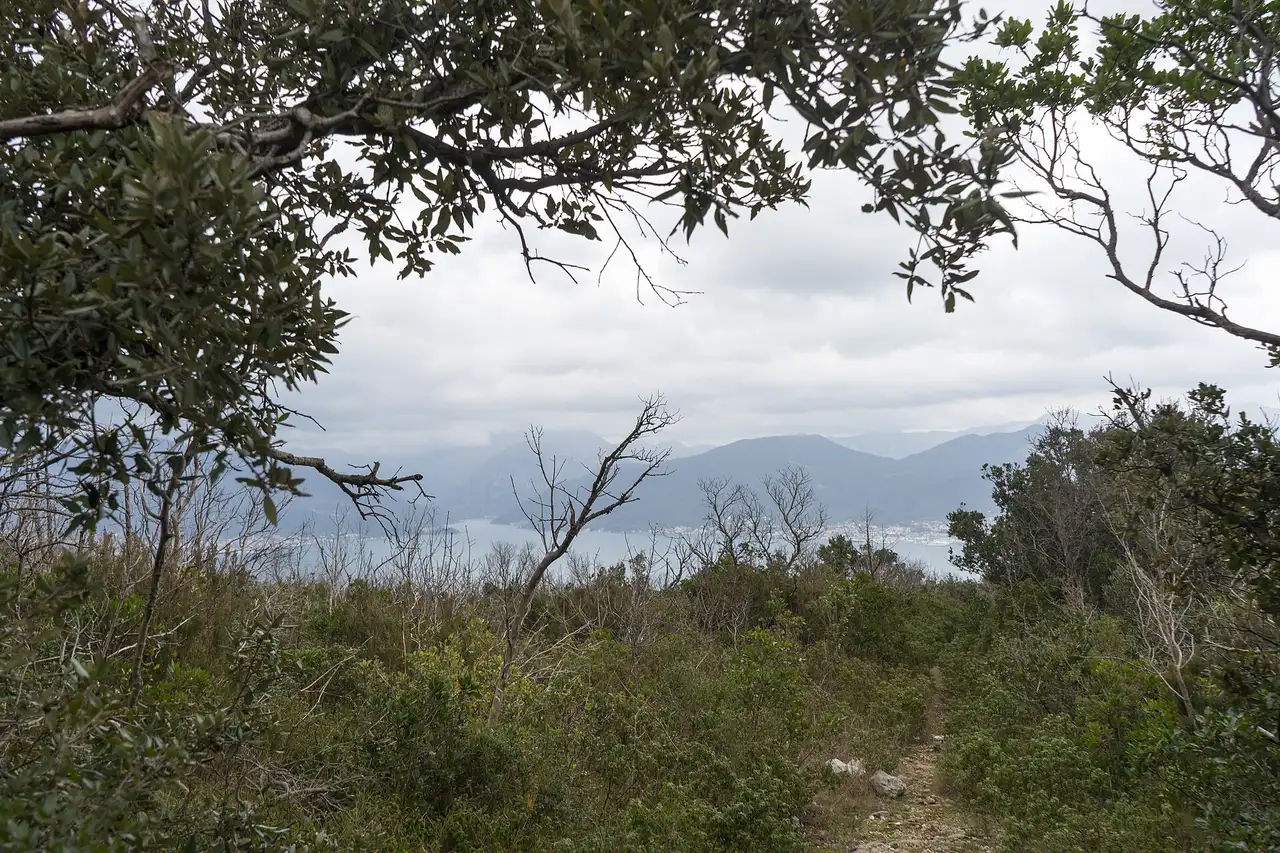 Open Adriatic sea view from the Lustica peninsula trail near the Blue Cave, Montenegro