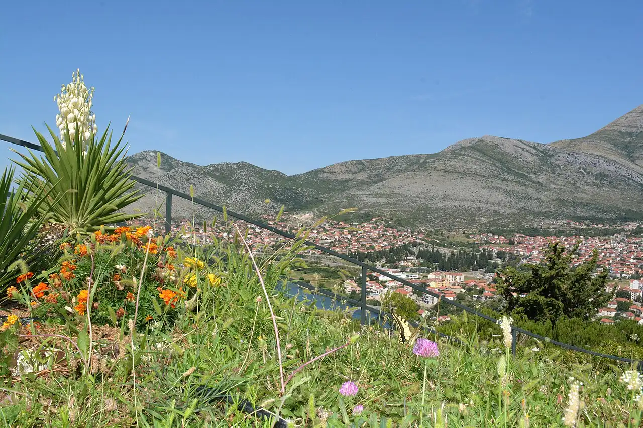 Trebinje rooftops and the Trebišnjica valley from the Dučić viewpoint