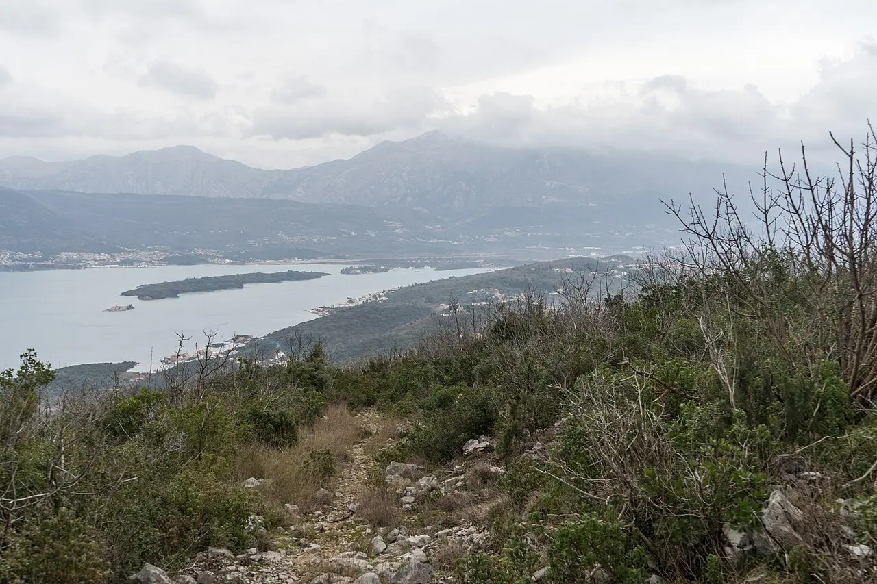 Rocky Lustica peninsula coastline meeting deep blue Adriatic water