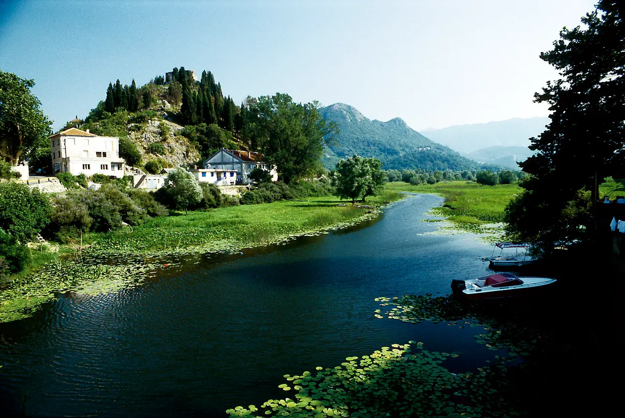 Water-lilies and two boats on the inlet at Virpazar, hill with Besac fortress behind