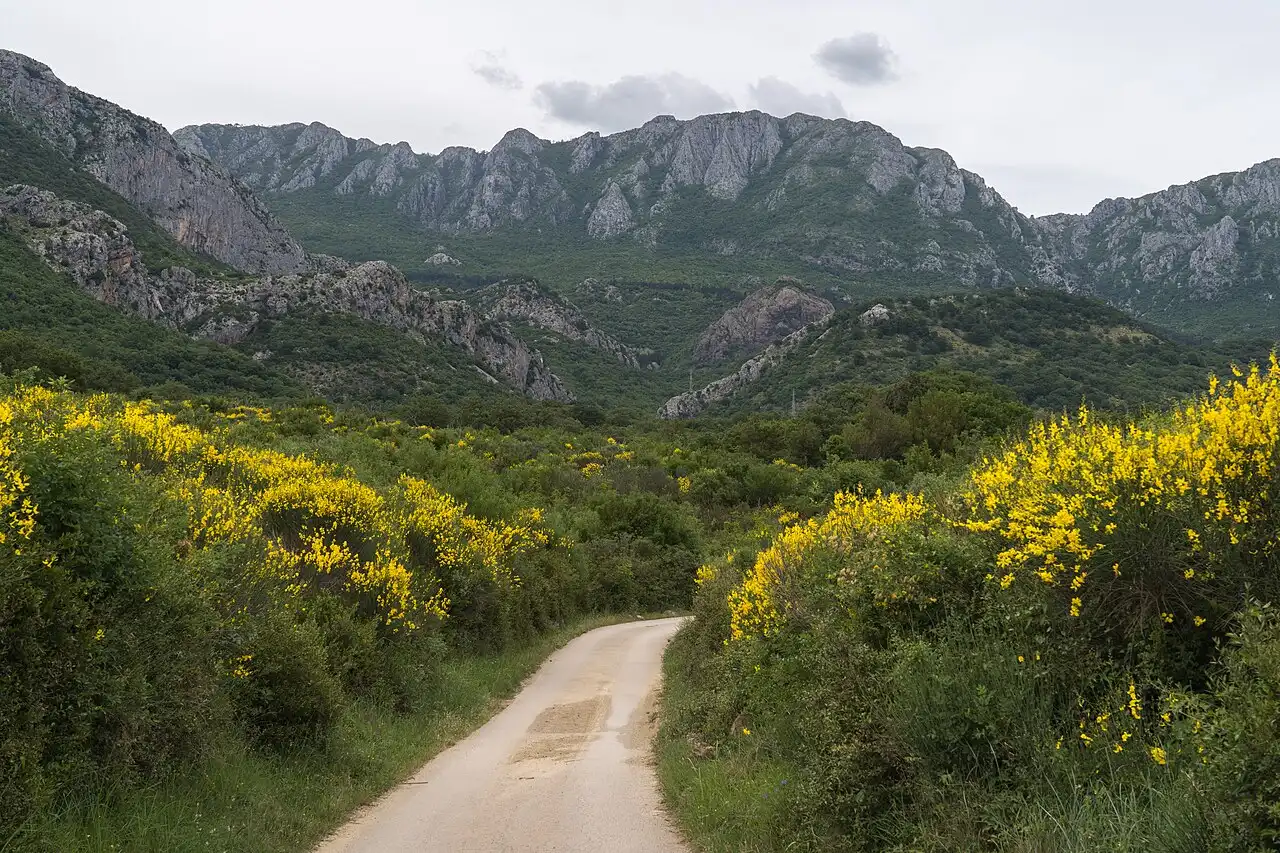 Road climbing from the coast into the hills above Šušanj near Bar, Montenegro