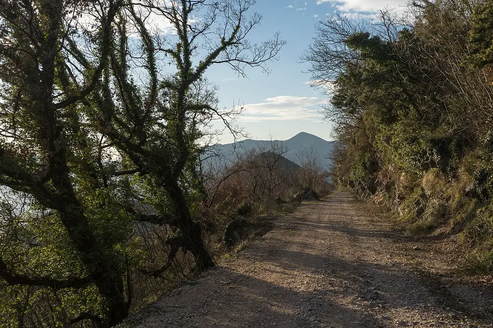 Narrow back road through the hiking area above Donja Lastva near Tivat, Montenegro