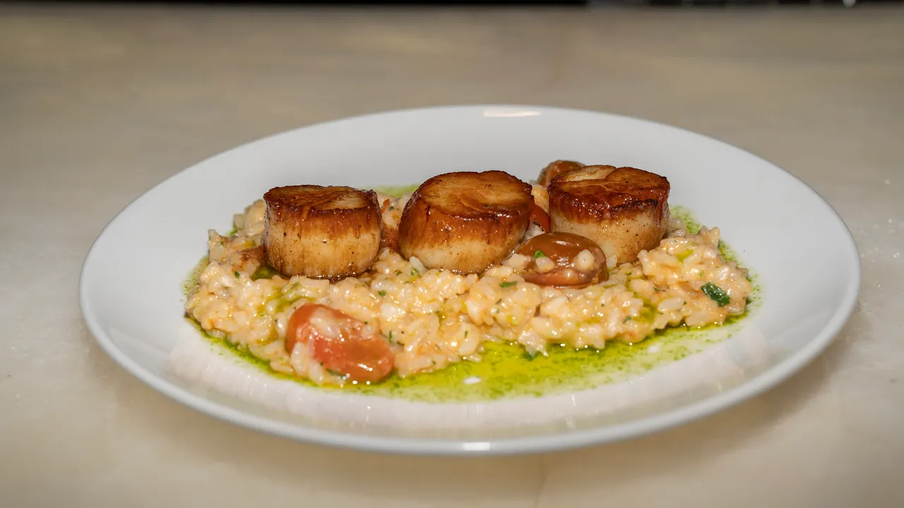 Seared scallops on risotto with herb oil on a white plate