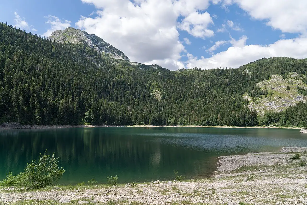 The still, dark water of the Black Lake (Crno jezero) ringed by spruce forest in Durmitor National Park, Montenegro