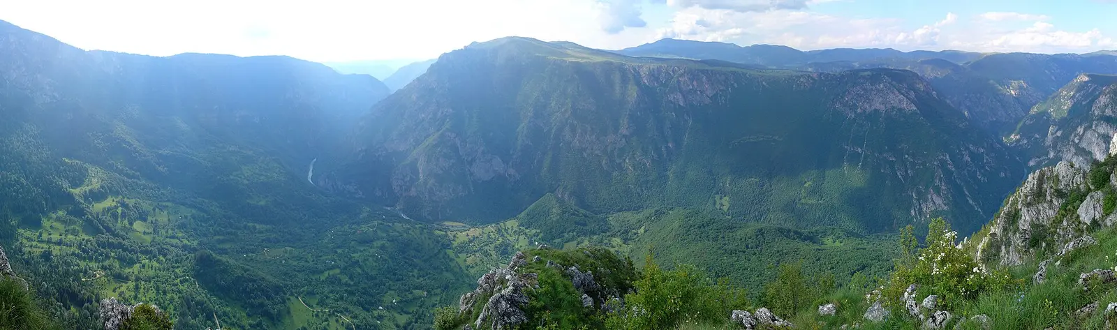Wide panorama from Ćurevac over the deep green Tara canyon, ridges receding into haze