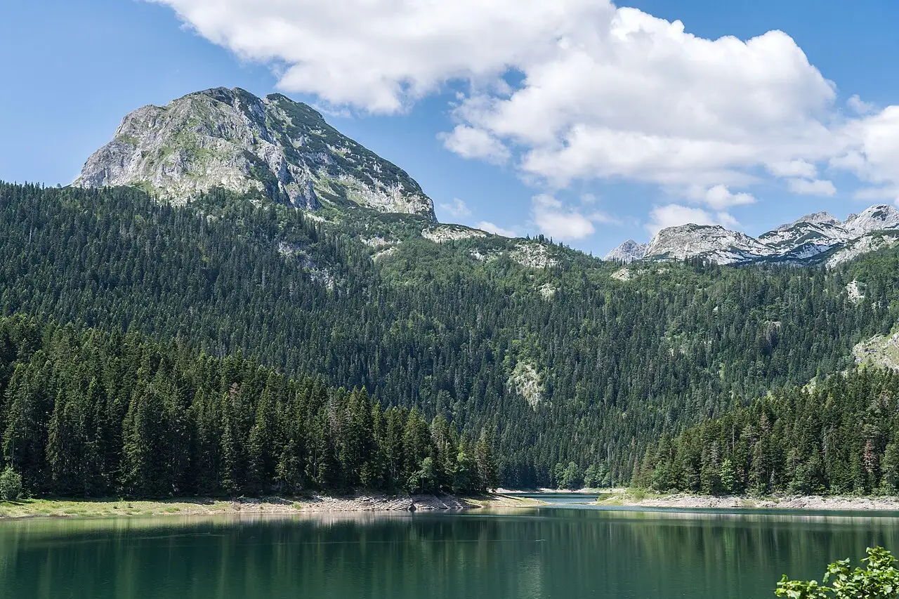 Black Lake in Durmitor with forested shores and mountain backdrop