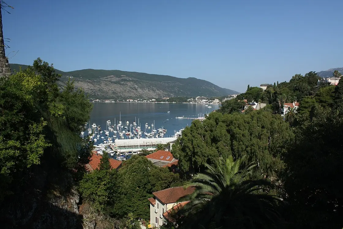 The yacht marina of Herceg Novi seen through palms and greenery with the bay behind