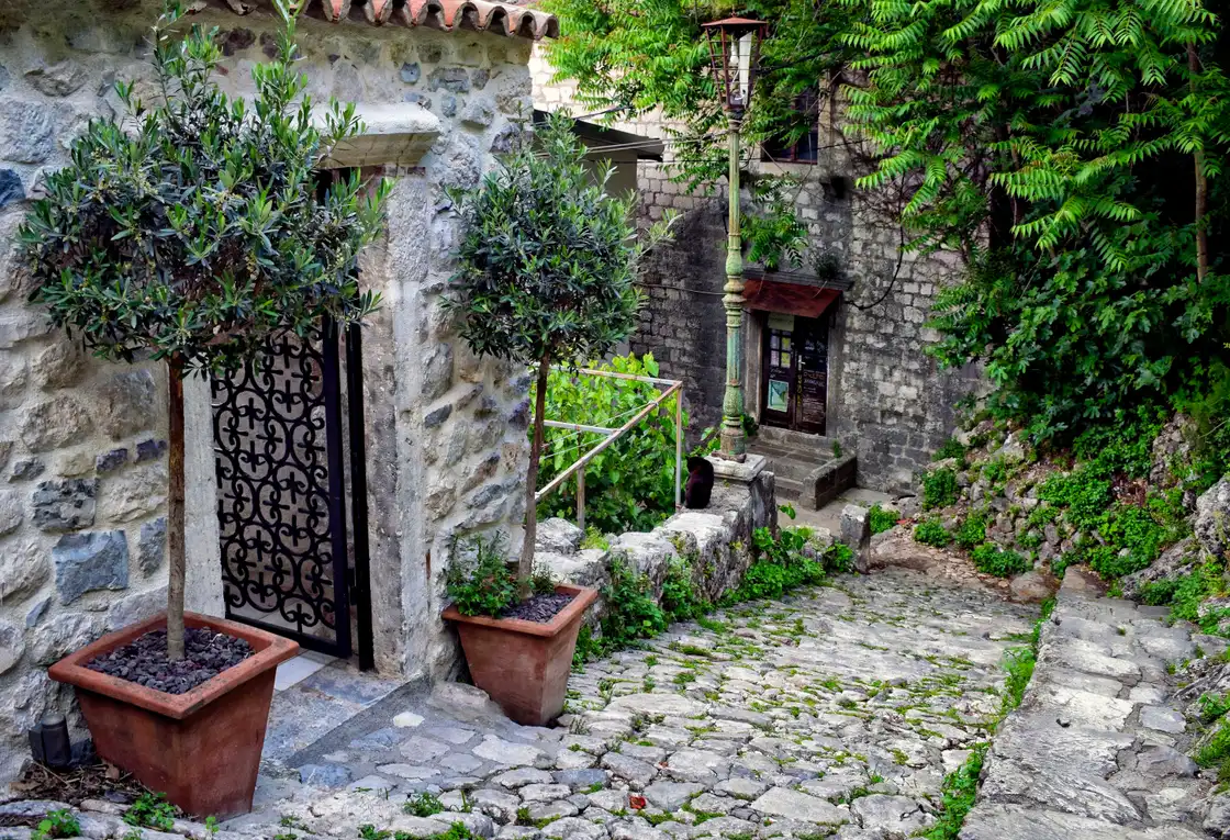 A quiet stepped stone lane in Kotor Old Town with potted olive trees and an old street lamp