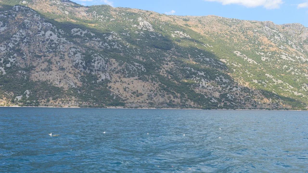Wide view over the Bay of Kotor with steep grey mountains rising from calm blue water