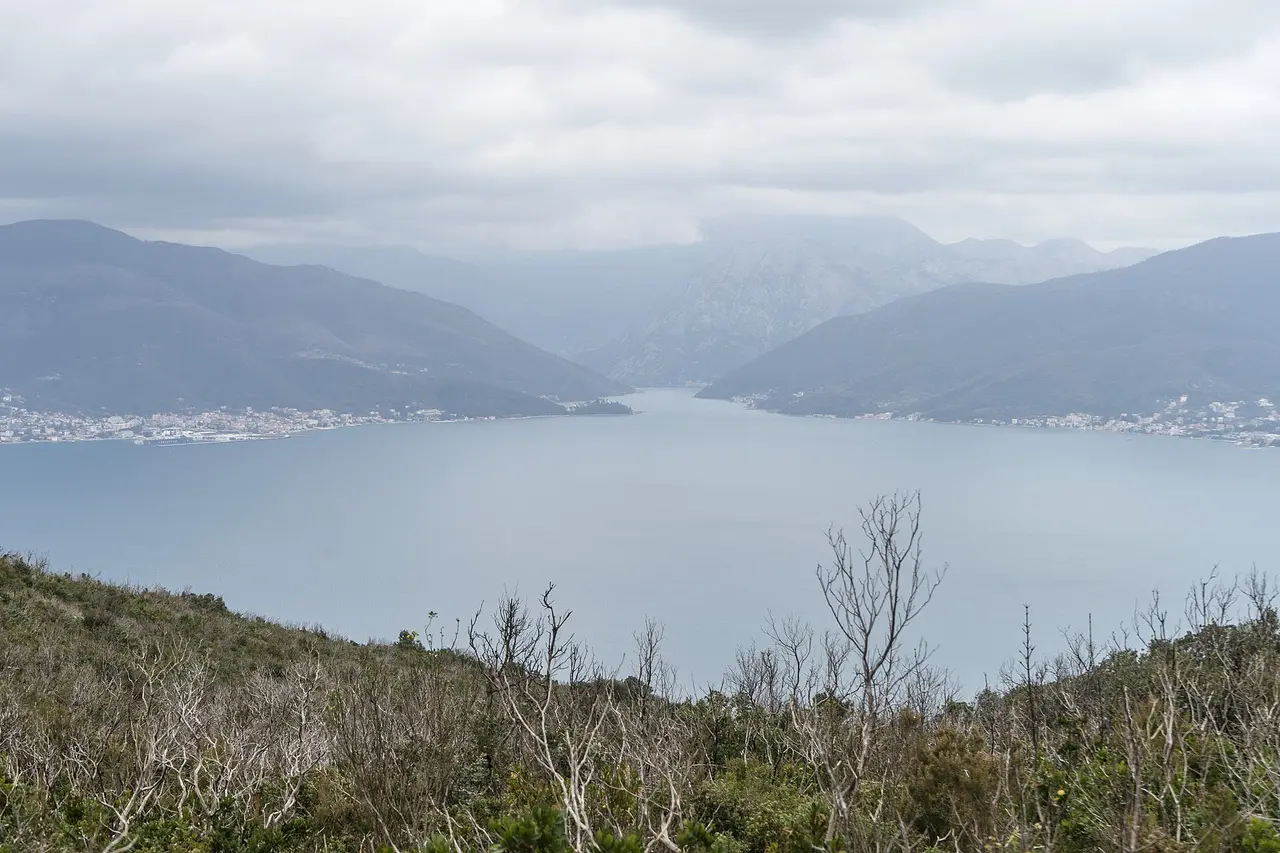 View over the Bay of Kotor from a scrubby hiking trail on the Lustica peninsula, with mountains ringing the water