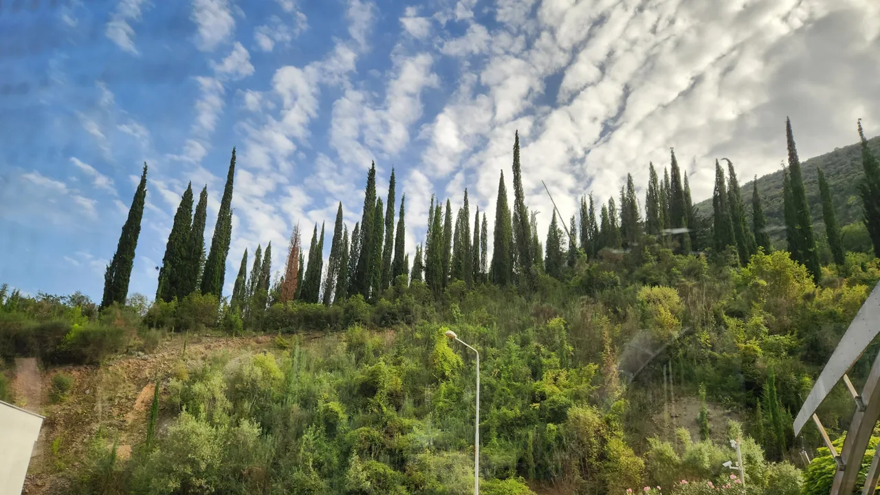 Cypresses and scrub on the hillside above the Croatia-Montenegro border crossing under a cloudy sky