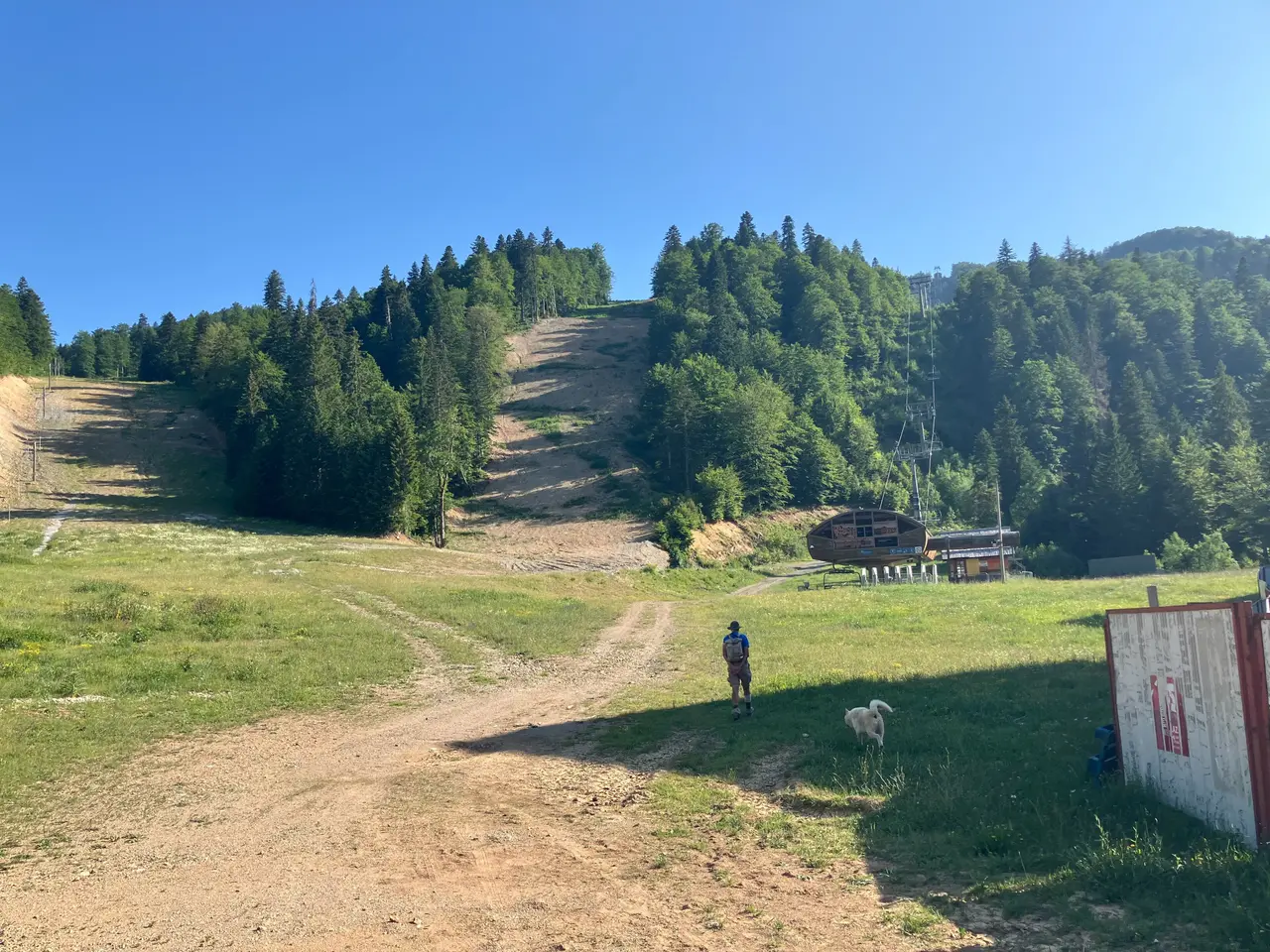 The lower slope and lift line at the Kolasin 1600 ski centre on Bjelasica, green grass and pine forest in summer