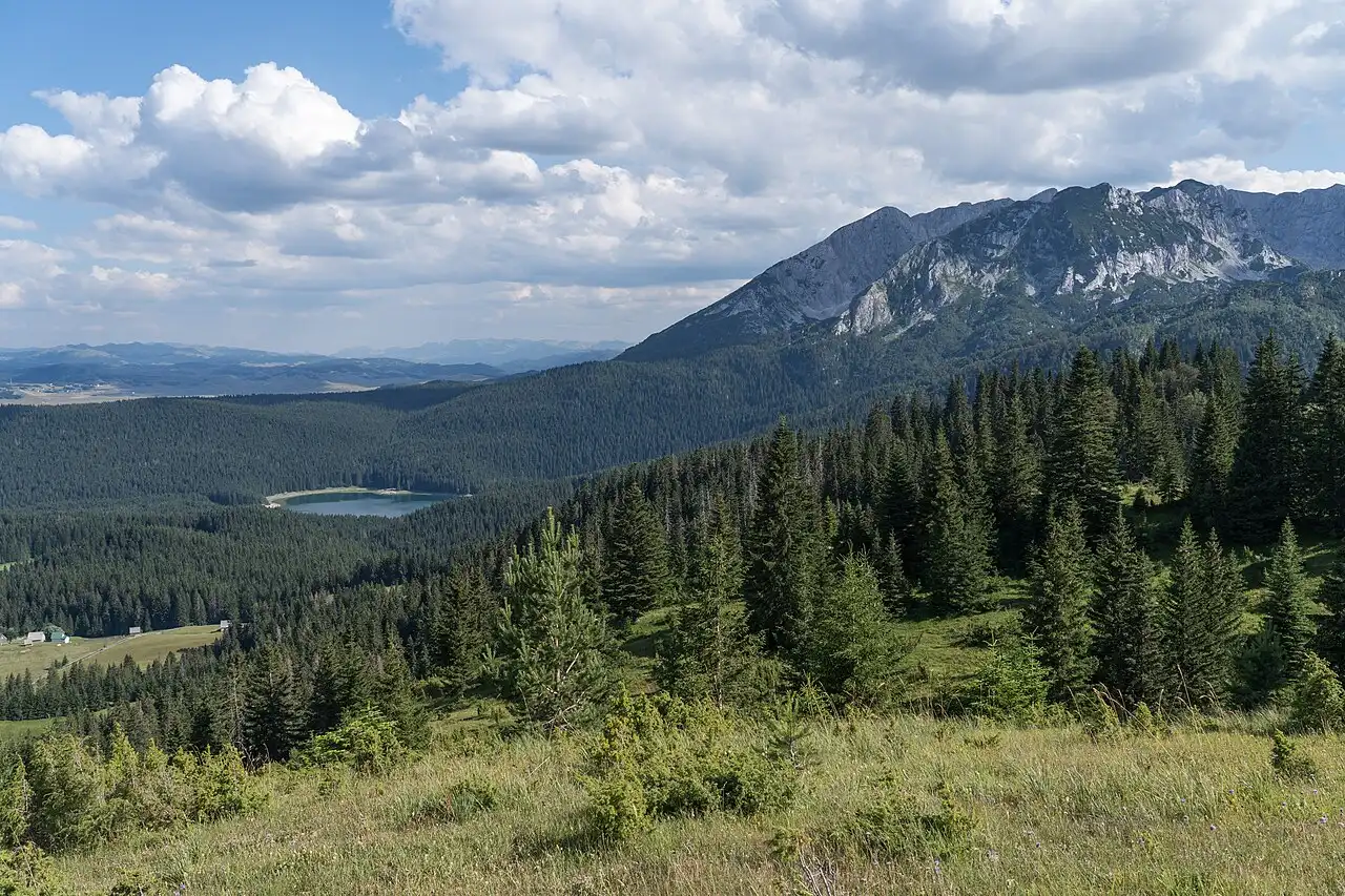 A forested lake basin surrounded by pine trees and mountains in Durmitor National Park, Montenegro