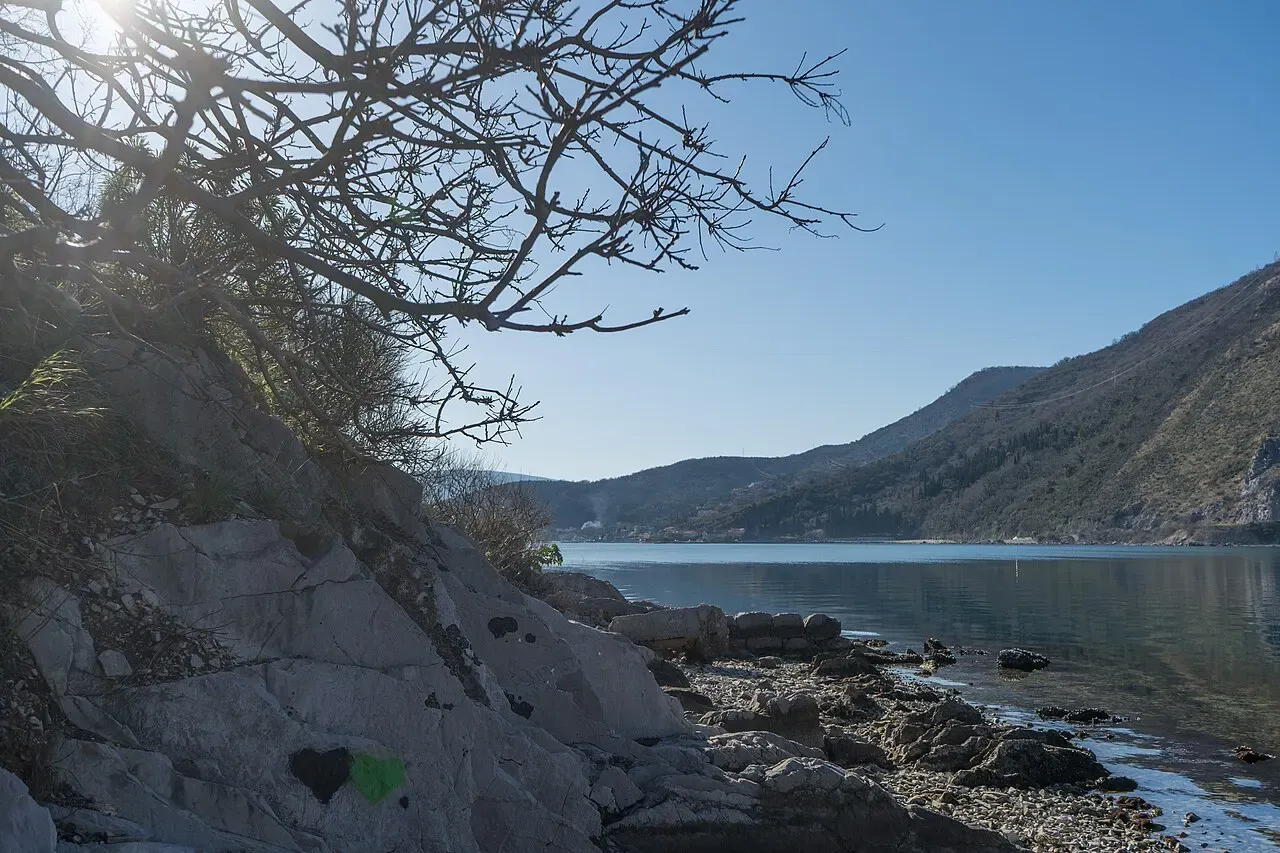 The Bay of Kotor seen from the rocky shore at Lepetani on a clear winter day, bare tree branches framing the calm water and hills, Montenegro