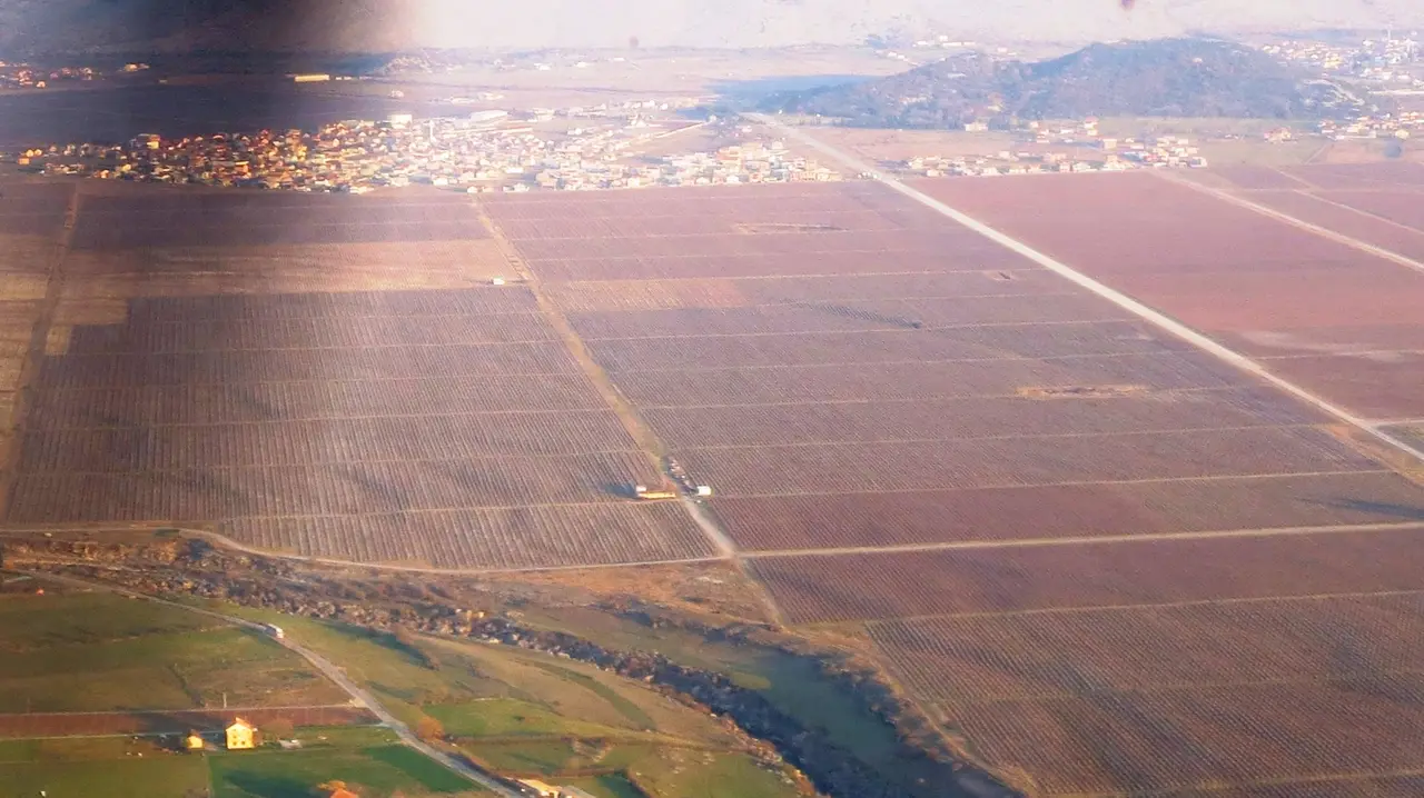 Aerial view over the Plantaže vineyards on Ćemovsko polje outside Podgorica, with the Cijevna river and the town of Tuzi behind