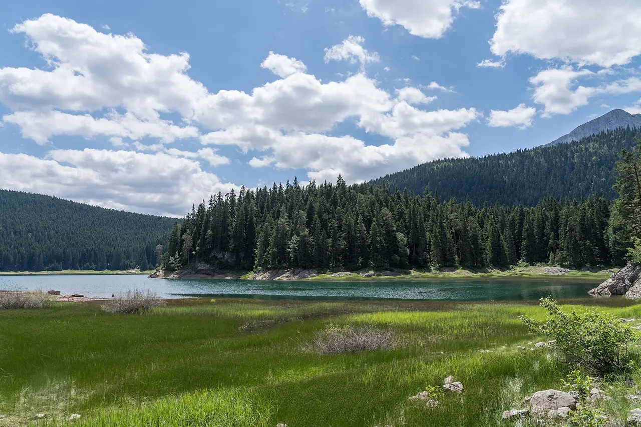 Black Lake with clear water and forested mountains in Durmitor National Park, Montenegro
