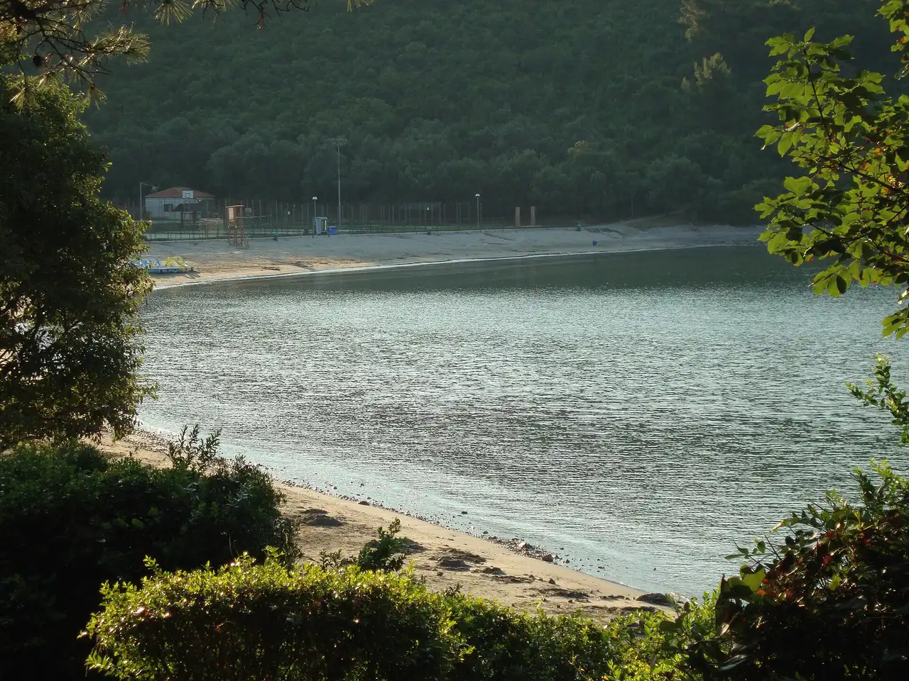A calm, shallow sandy bay backed by pine trees on the Luštica peninsula, Montenegro