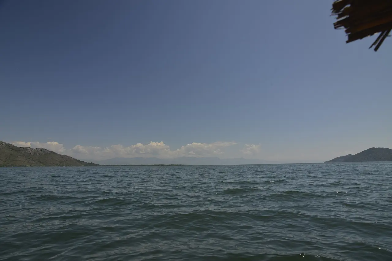 Still water, reeds and green hills on Lake Skadar in Montenegro