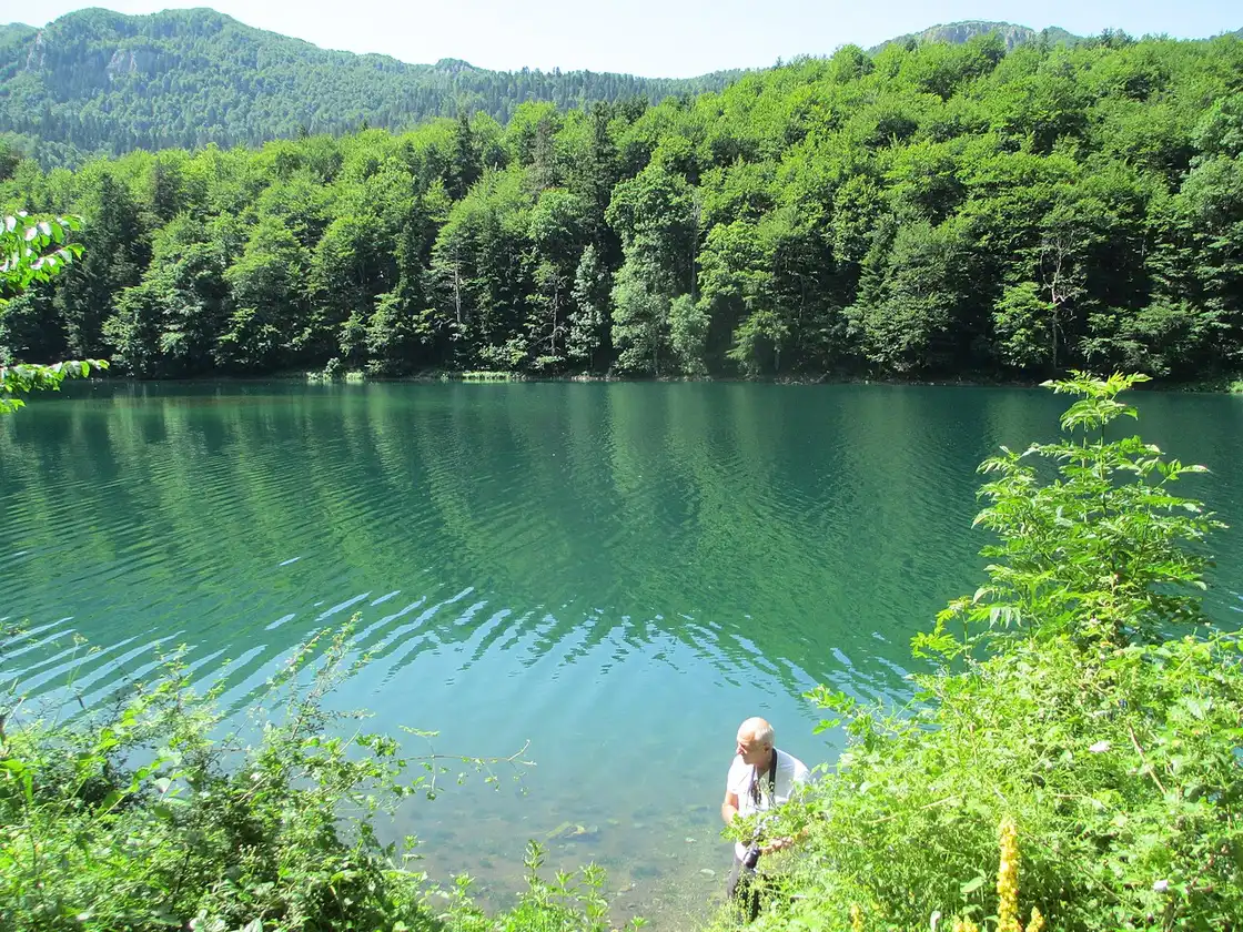 Glacial Lake Biogradsko ringed by old forest in Biogradska Gora National Park, Montenegro