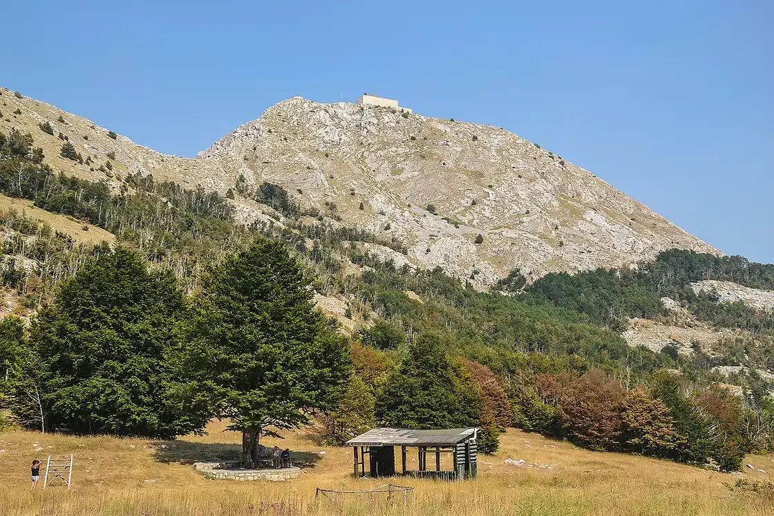 Forested limestone slopes of Lovćen National Park above the Bay of Kotor, Montenegro
