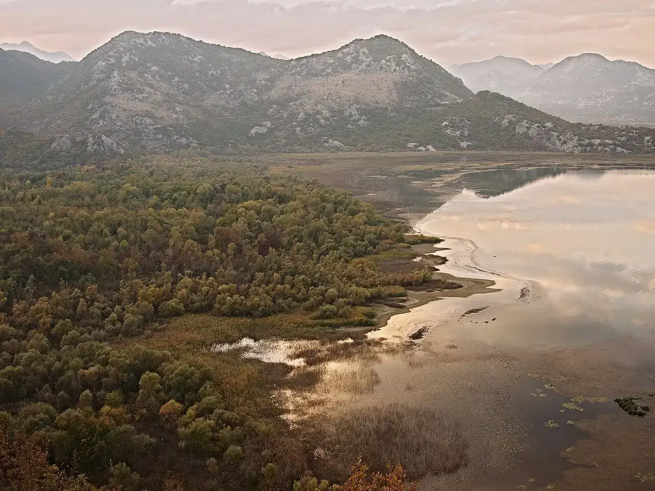 Autumn colours on the wooded shore of Lake Skadar National Park, Montenegro