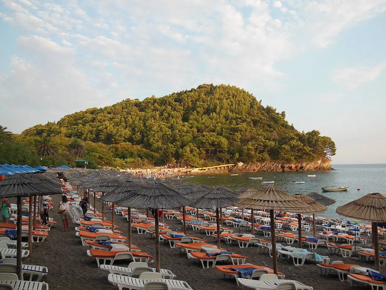 Rows of loungers on the small cove at Lucice with a pine-covered headland behind it