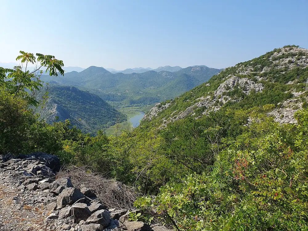 A green mountain valley with the Crnojević River winding through wetland far below, seen from a hiking trail