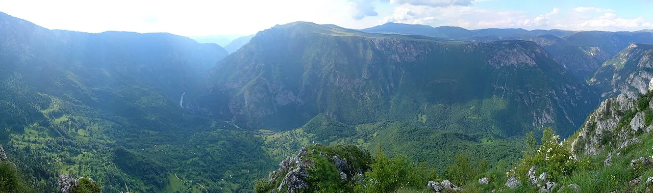 Wide panorama of the Tara Canyon seen from the Ćurevac viewpoint, forested cliffs plunging to the river