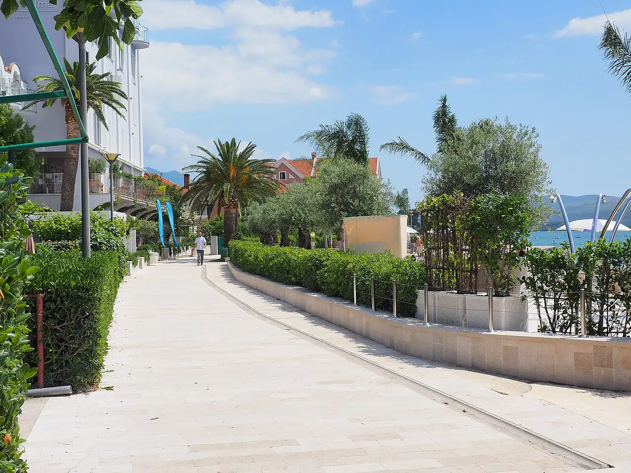 A palm-lined seafront promenade in Tivat, Montenegro, with hotels and the bay in the background