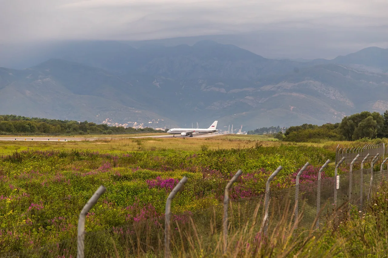 The coastal highway near Tivat with mountains and the bay beyond the roadside trees