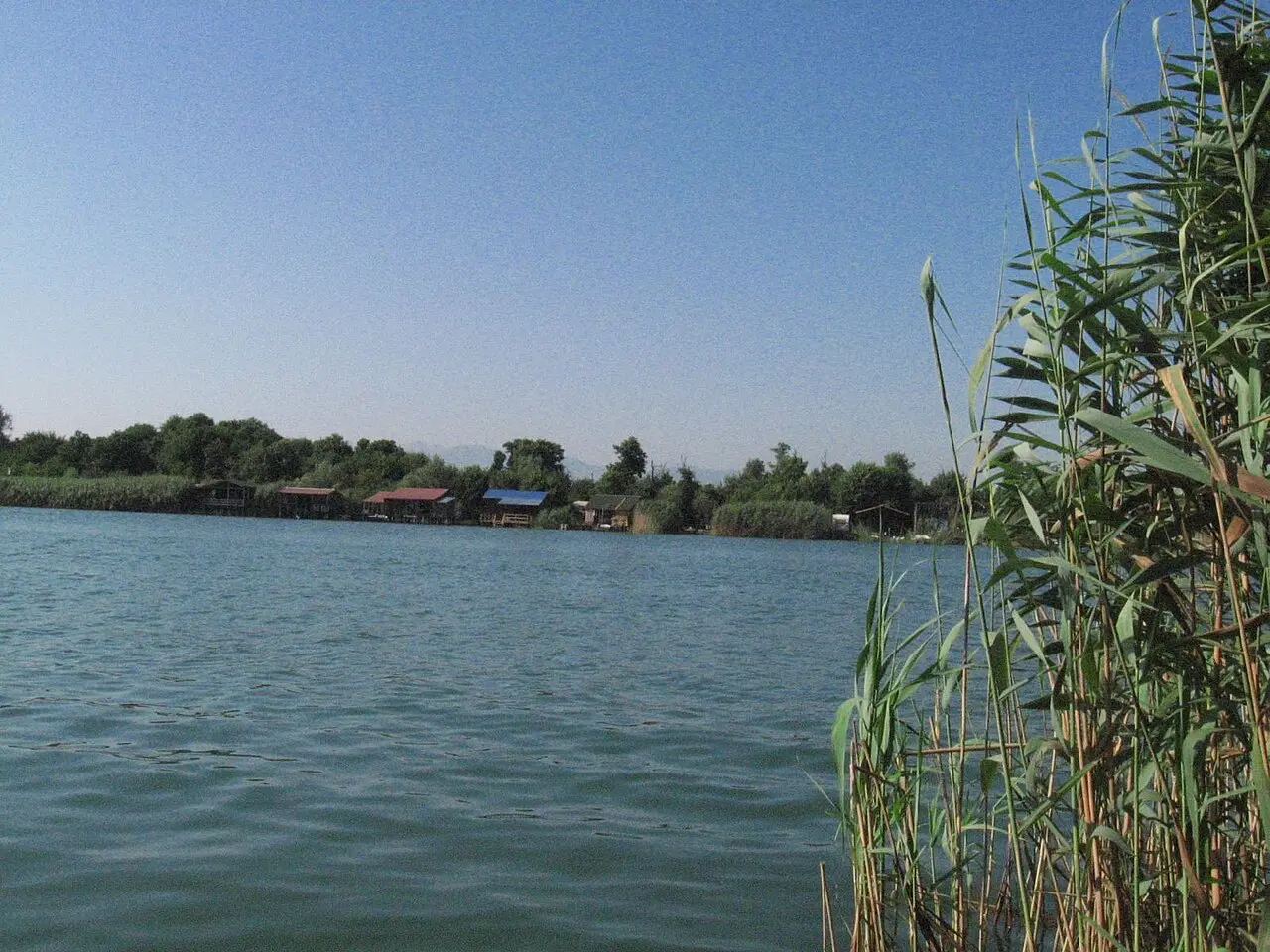 Wooden fish restaurants on stilts among reeds along the Bojana river at Ada Bojana