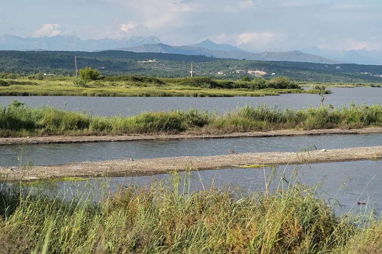 The Ulcinj Salina salt pans, shallow water and reed banks with mountains behind