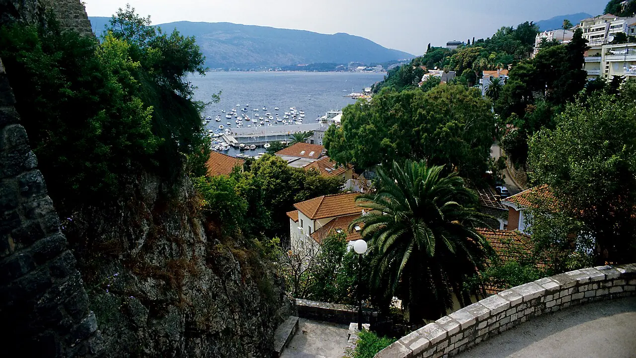 View down through Herceg Novi Old Town past a stone wall and palm tree to the marina and the Bay of Kotor