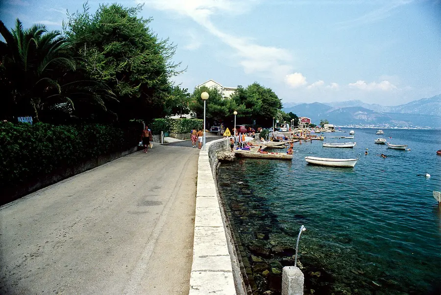 A quiet coastal road with palm trees along the water at Kumbor near Herceg Novi, small boats moored offshore