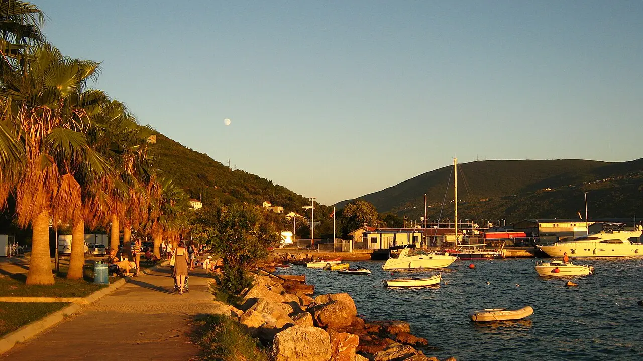 A palm-lined promenade at Zelenika at sunset with small boats moored in the bay and hills behind